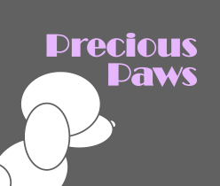 Precious Paws Pet House 宝宝宠物美容店